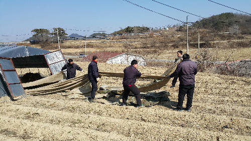 예천지점 농번기 대비 비닐하우스 정비